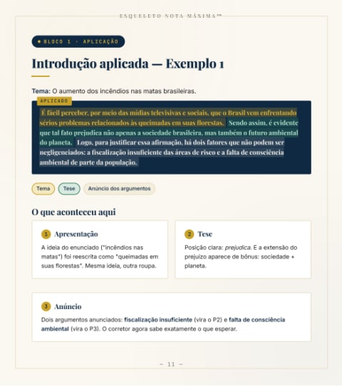 Página 11 do material